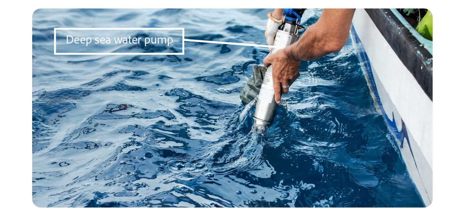 Ormus Deep Sea Water Pump