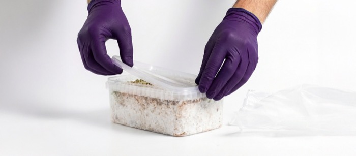 Removing lid from mushroom grow kit