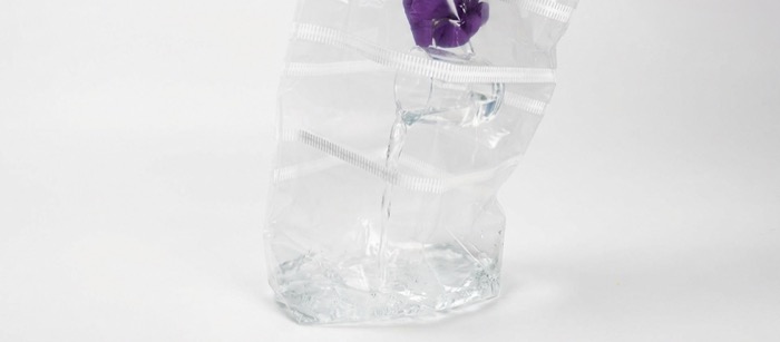 Adding water to grow bag and placing kit inside