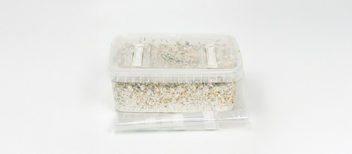 Mushroom Grow Kit contents including grow kit, paperclip and grow bag
