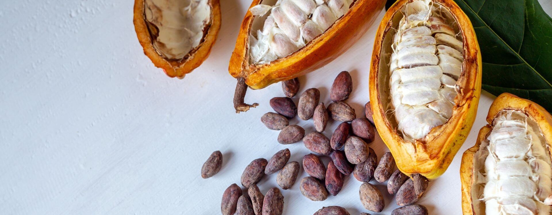 De Effecten van een Rauwe Cacao Ceremonie - Wat voel Je van Rauwe Cacao?