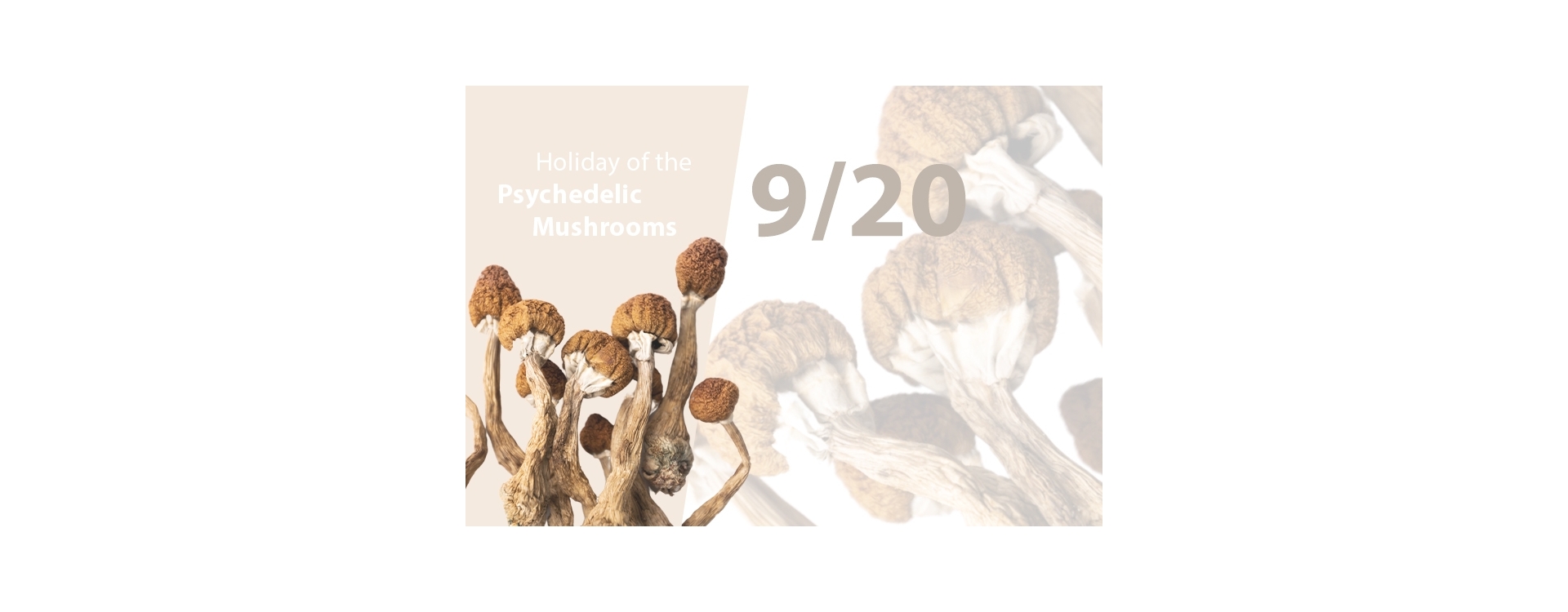 What is 9/20? A peek into the world of Psychedelic Mushrooms