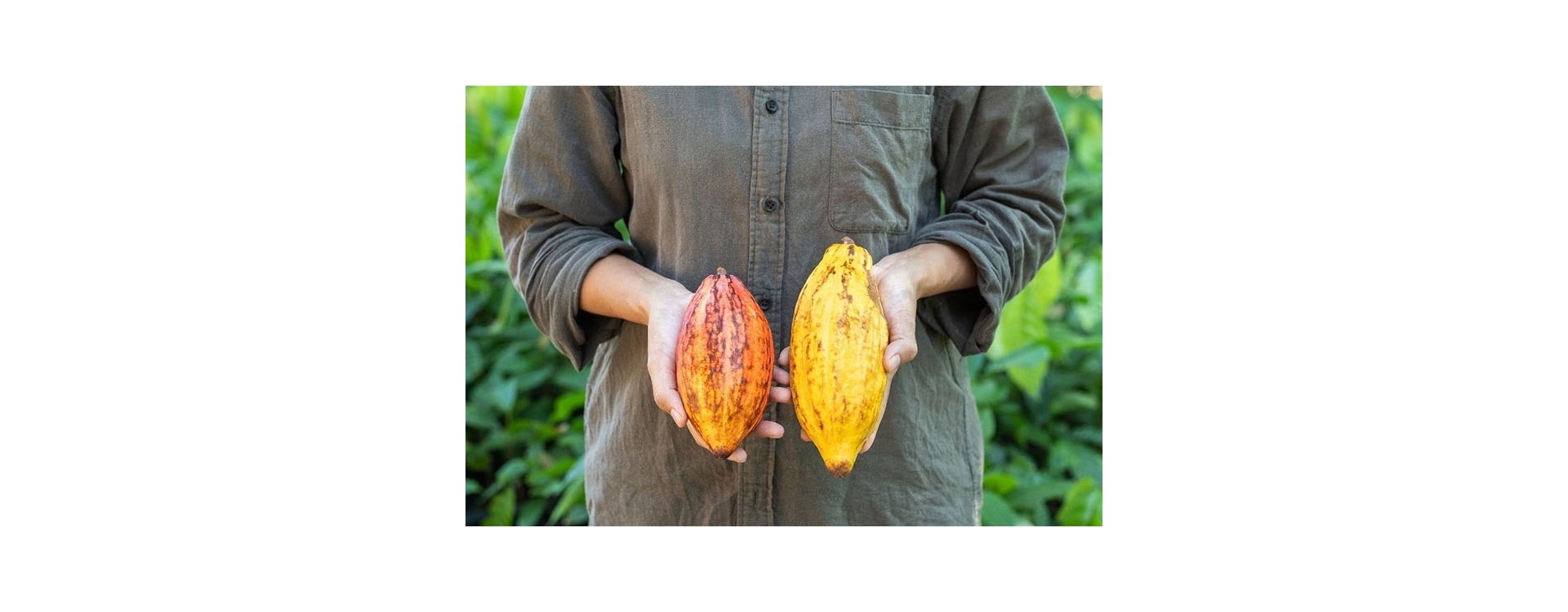 3 Best Raw Cacao Products to Warm You Up