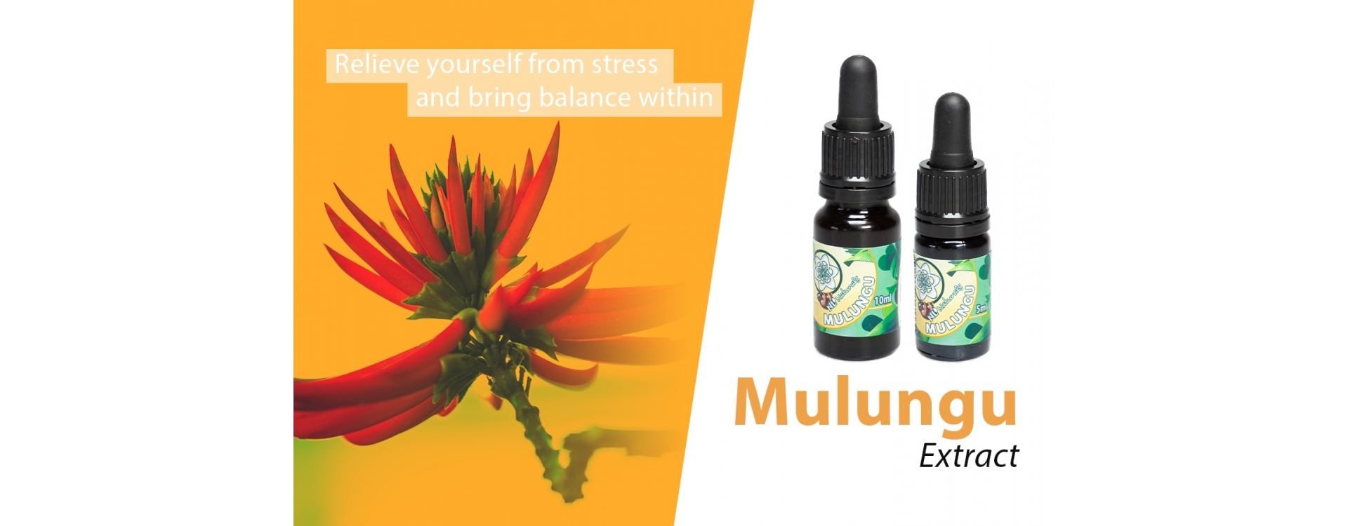 Mulungu Extract, a Brazilian source of relaxation and peace!