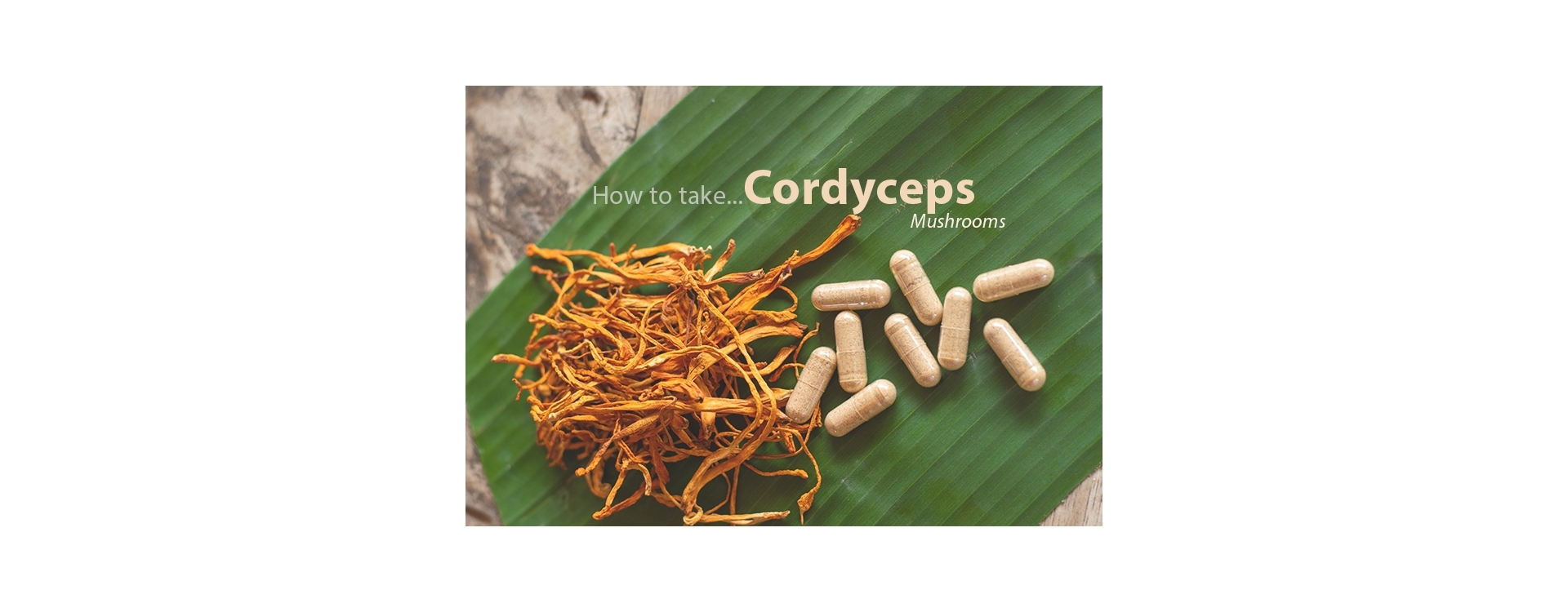How to take Cordyceps Mushroom