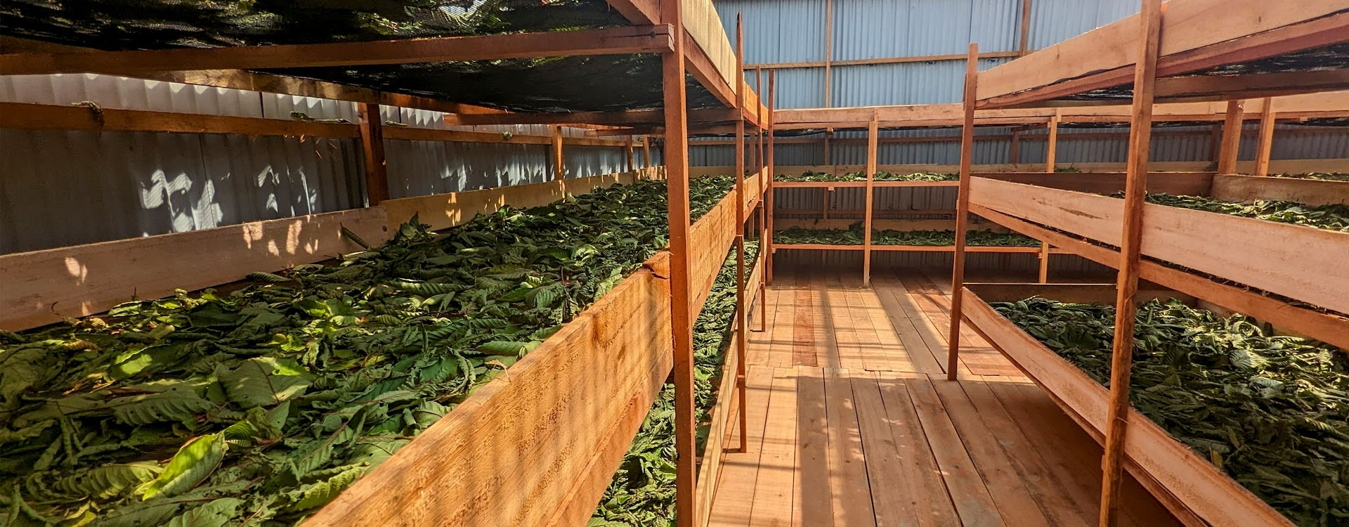 Onze Kratom Fabriek in Indonesi&euml;