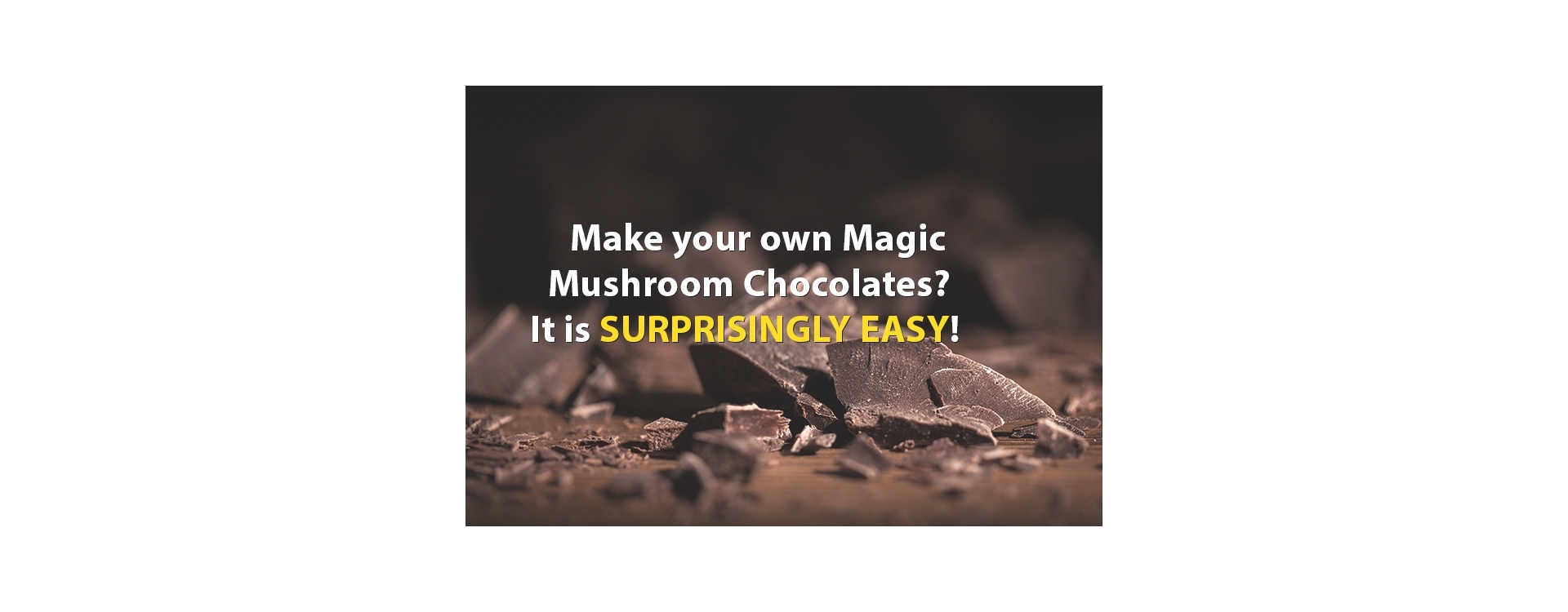 How to Make Magic Mushroom Chocolates? Your Ultimate Guide.