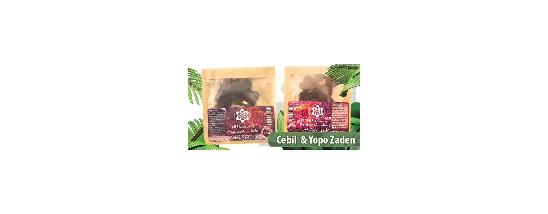 New: Cebil and Yopo seeds! These little seeds can take you on a wild psychedelic ride!