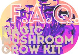Magic Mushroom Grow Kit FAQ: All Questions & Solutions