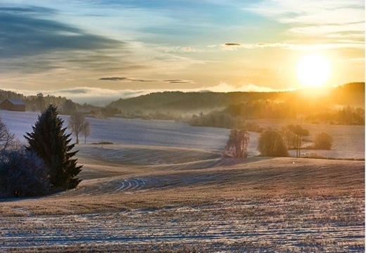Embrace the New Season: 4 Creative Ideas for Celebrating the Spring Solstice