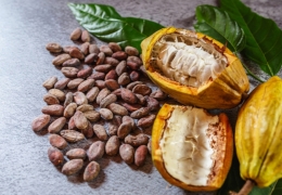 Vijf verrassende gezondheidsvoordelen van rauwe cacaopoeder