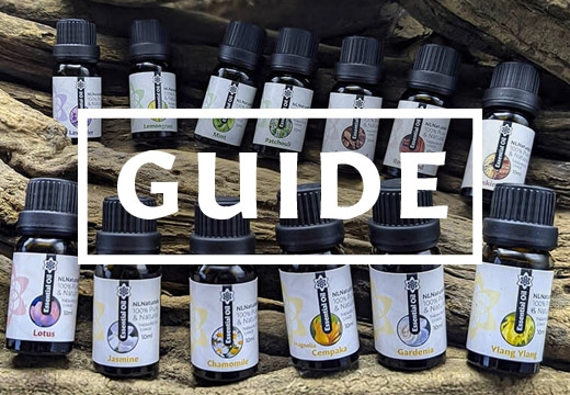 DIY Essential Oils: Natural Care for Everyday Wellness