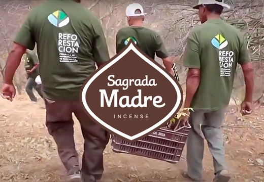 Sagrada Madre Incense: Divine Scents, Noble Mission