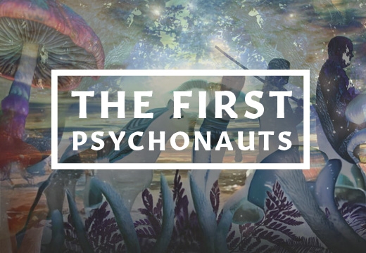 Who Discovered the First Magic Mushroom? A Journey Through 10,000 Years of History