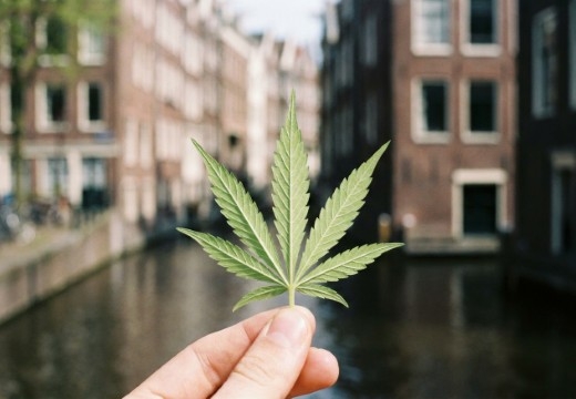 Two Years of the Dutch Wietexperiment: Does the Closed Model Work?