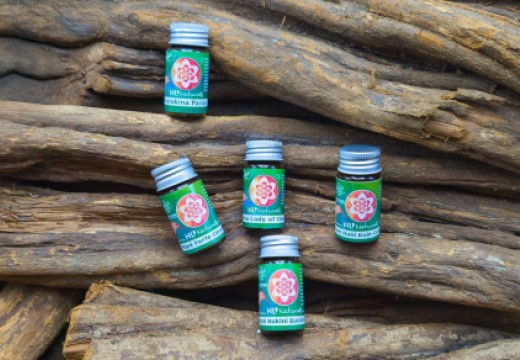 Plantmedicijnen uit de Amazone: Hoe herken je goede rap&eacute;?