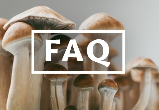Paddo's Kweken FAQ: Alle Vragen & Oplossingen