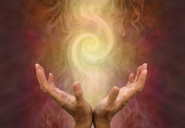 Het Mysterie Van Salvia Divinorum Dat Niemand Kan Verklaren