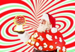 Does Santa Have Anything to Do with Magic Mushrooms? Let’s Look at the History.