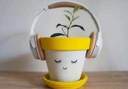 The Power of Plant Music: Exploring Plant-Based Sound Therapy