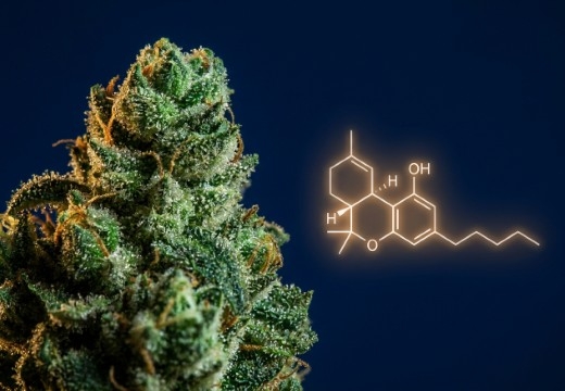 CBD vs THC vs HHC vs CBG: Alle Cannabino&iuml;den Uitgelegd
