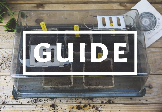 Active Earth Kweekgids: Maximale Oogst door Complete Plantenvoeding