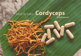 How to take Cordyceps Mushroom