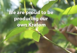 Our Own Kratom Factory in Indonesia