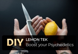 The Magic Behind Lemon Tek: Amplifying Your Psychedelic Experience