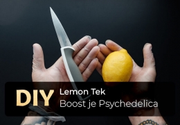 De magie van Lemon Tek: Je psychedelische ervaring versterken