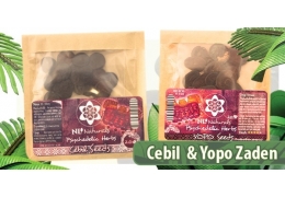 New: Cebil and Yopo seeds! These little seeds can take you on a wild psychedelic ride!