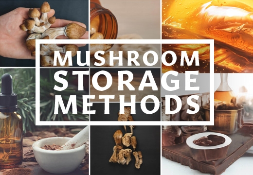 Hoe Bewaar Je Magic Mushrooms? Alle Methodes