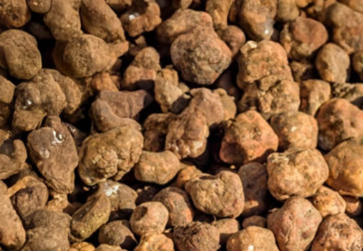 Truffelkorting!