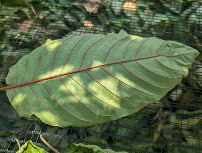 Mix & Match Mix & Match